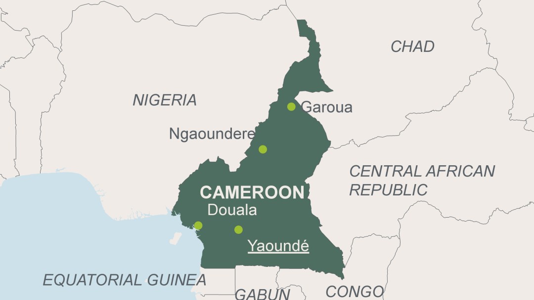 Nhập khẩu hàng hóa từ CAMEROON về Hà Nội đảm bảo, uy tín