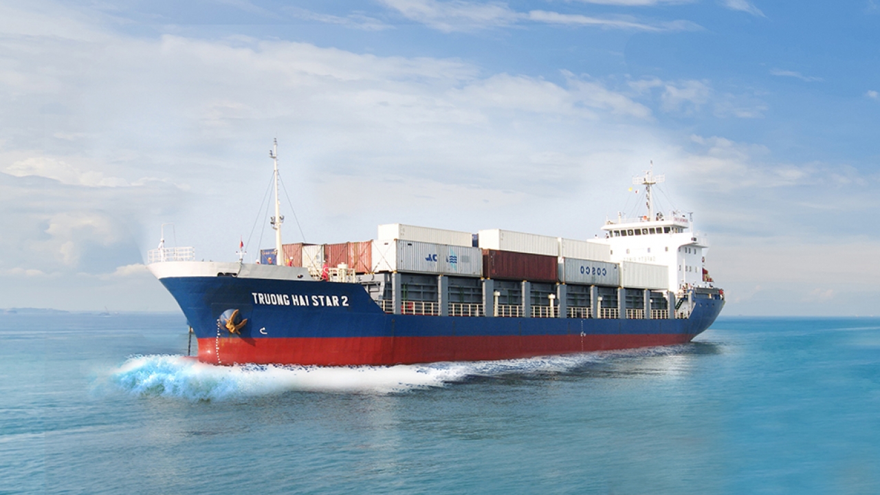 Vận chuyển đường biển đi Qatar (LCL) giá cả cạnh tranh